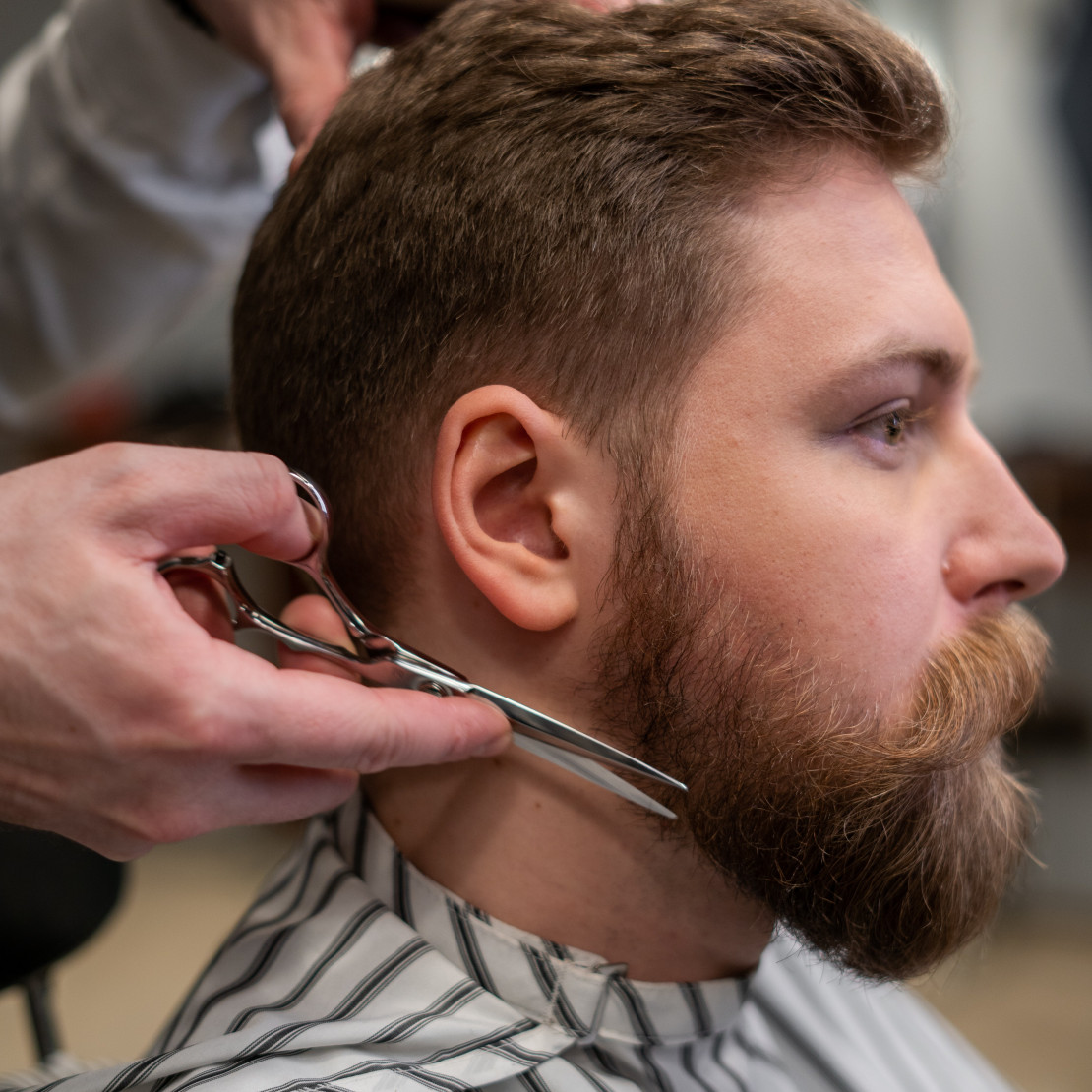 pexels-cottonbro-studio-3998429